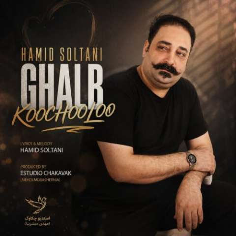 آهنگ حمید سلطانی قلب کوچولو دانلود آهنگ حمید سلطانی قلب کوچولو