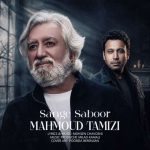 دانلود آهنگ محمود تمیزی به نام سنگ صبور