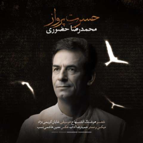 آهنگ محمدرضا حضورى حسرت پرواز دانلود آهنگ محمدرضا حضورى حسرت پرواز