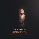 دانلود آهنگ امیر دلیر به نام شرمندم