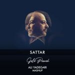 دانلود آهنگ دی جی علی یادگاری به نام ریمیکس گل پونه (ستار)